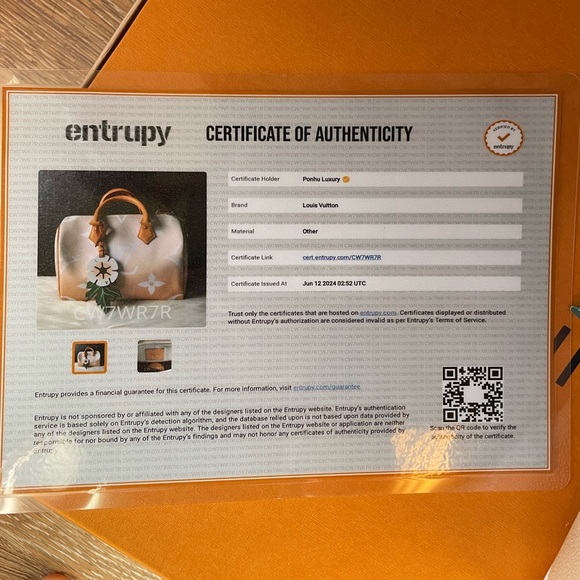 ♥️traded♥️Louis Vuitton By the Pool Speedy 25 - Picture 15 of 16